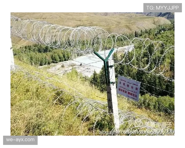 禁区线算不算禁区内？足球规则中如何精准界定边界判罚